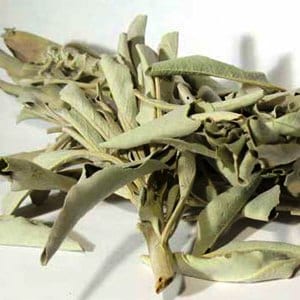 White Sage - Witte salie zeer zuiver en intens - 1 kilo