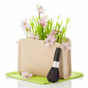 Beauty & Wellness